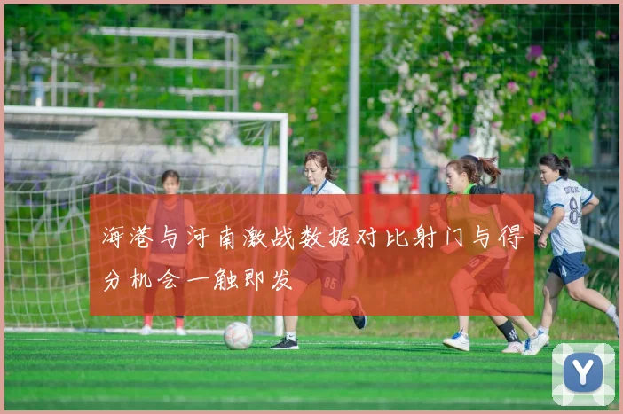 海港与河南激战数据对比射门与得分机会一触即发