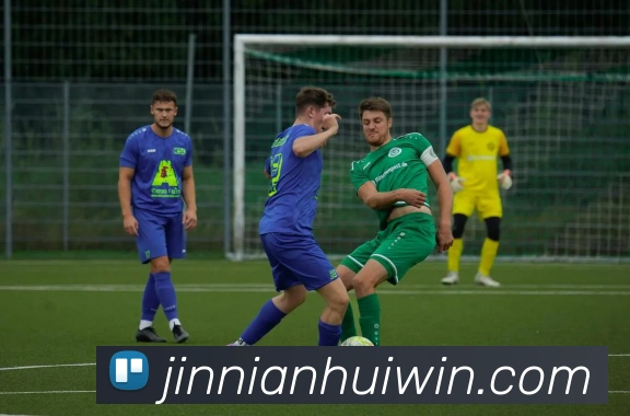 金年会平台生态图